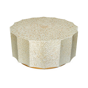 AB - CAPIZ COFFEE TABLE