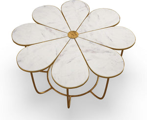 TV - FLOWER TABLE