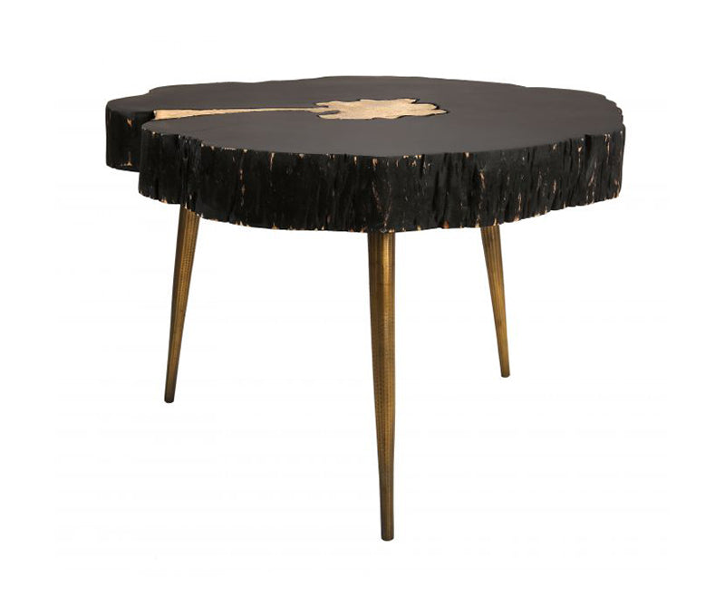 TV - TIMBER BLACK AND BRASS COFFEE TABLE