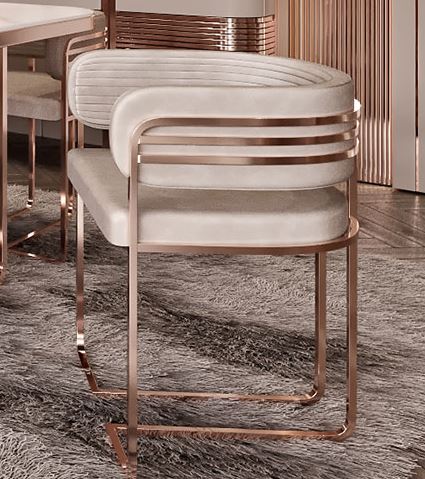 ZB- DIEGO DINING CHAIR